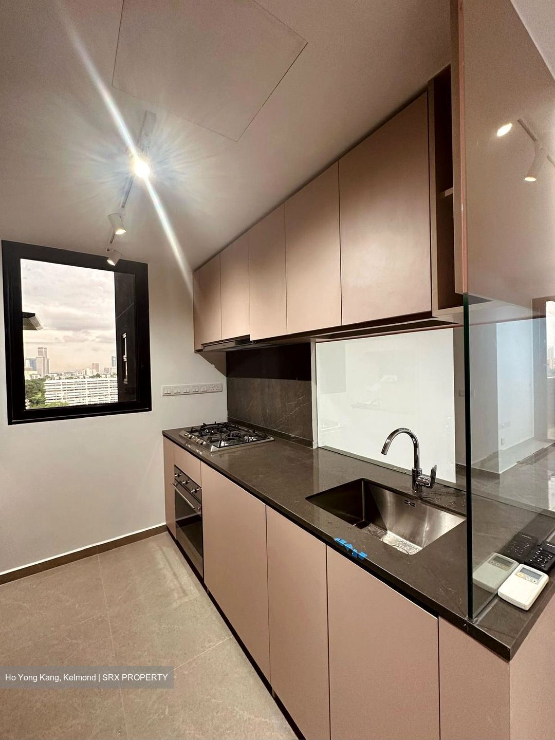 Kopar At Newton (D9), Apartment #522419311